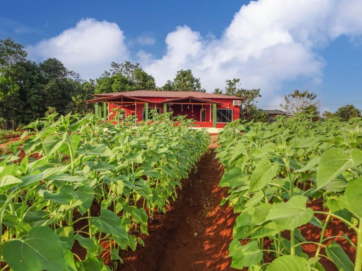 Bed and Breakfast Aarya Farm à Bhom Extérieur photo